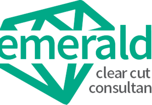 Emeral-PM-logo-1200x828-removebg-preview